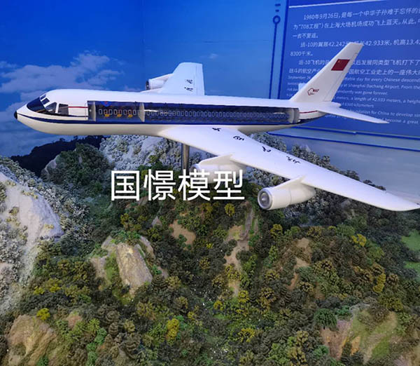 罗湖区飞机模型